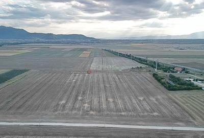 Teren Destinatie Industriala - 5