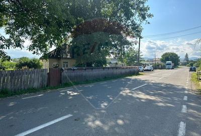 Teren intravilan 3.765 mp cu casa - Bodesti de Jos - 4
