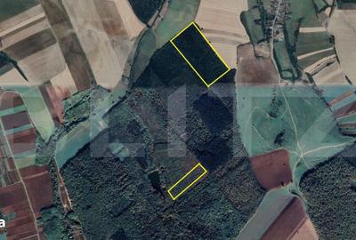 Teren de 100000 mp, în Pir - 1