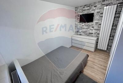 Apartament cu 3 camere decomandat, mobilat în Depozitelor - 7