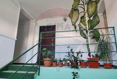 Apartament de inchiriat - 13