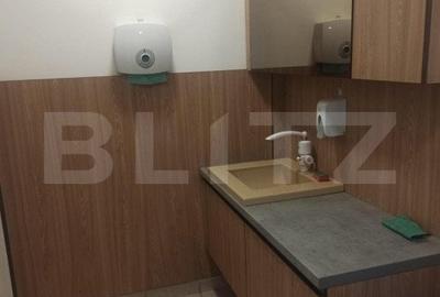 Repozitionare de pret! Proprietate Sangiorgiu 834mp ideal productie sau clinica. - 4