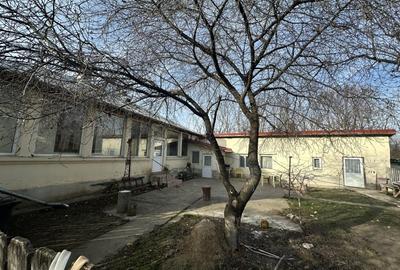 Casa cu teren in Dragos Voda, judetul Calarasi - 6