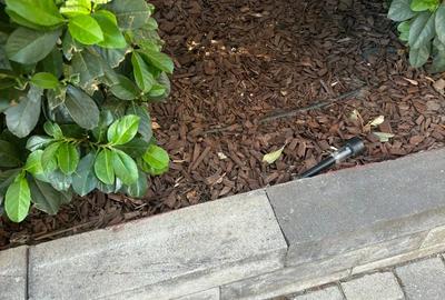 Apartament cu 2 camere de inchiriat-Rahova-Noul Confort rban - 3