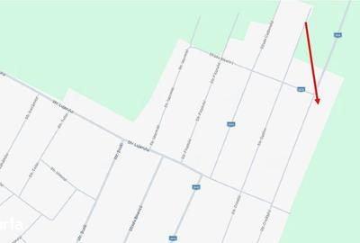 Casă cu 2 camere cu Teren 2920 Mp în Padina - 2