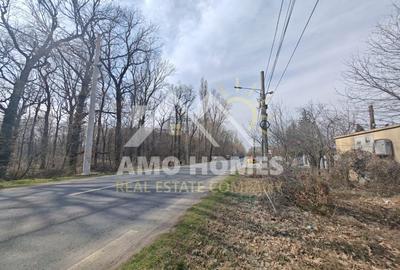 Teren Construcții intravilan de 5000 mp, în Ciorogârla - 7