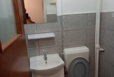 Apartament 3 camere, decomandat, vizavi de parcul Regina Maria - 13