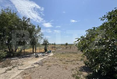 Casă cu 4 camere cu Teren 1500 Mp în Central - 8