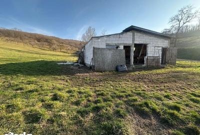 Teren de 2000 mp, în Mociu - 6