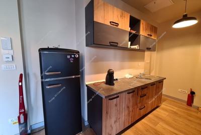 SAD - Spatiu comercial de 100 mp cu 4 locuri de parcare - Torontalului - 11