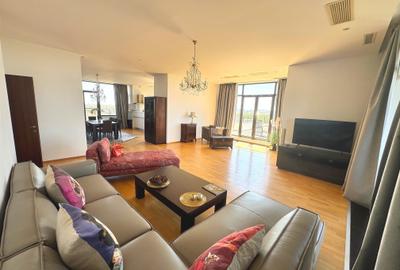 Penthouse  4 camere  Erou  Iancu Nicolae - 8