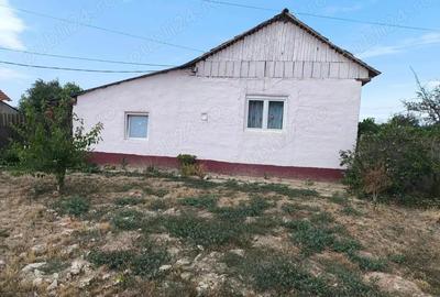 Casă cu 3 camere cu Teren 2700 Mp în Vălcani - 5