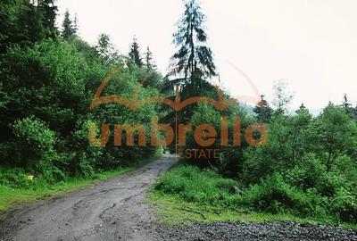 Teren Construcții intravilan de 34201 mp, în Vărșag - 8