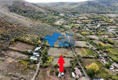 Teren de 3044 mp, în Niculițel - 14