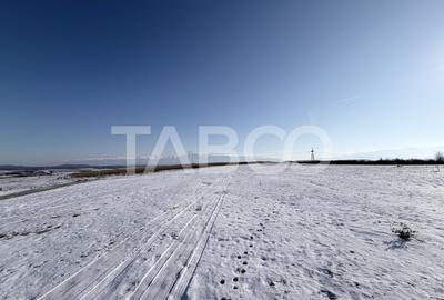 Teren Construcții intravilan de 40300 mp, în Daia - 3