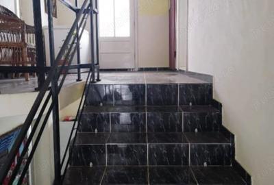 Casă cu Teren 3500 Mp în Vișeu de Jos - 3