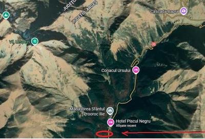 TEREN EXTRAVILAN PADURE PISCUL NEGRU ARGES - 9