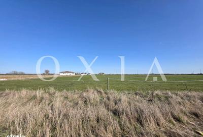 Spațiu comercial, în Giroc - 2