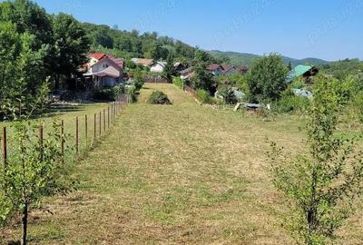 Teren de 1845 mp, în Central - 1