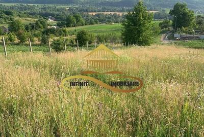 Teren EXTRAVILAN de vanzare BOSOTENI / TESCANI 7100 mp - 2