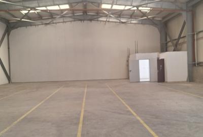 Spațiu industrial, de 30,000 mp, în Nord-Est - 3