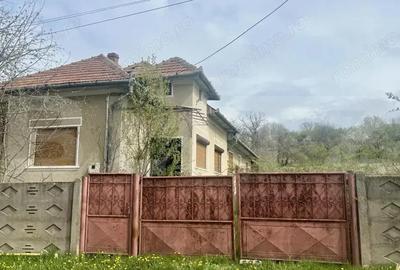 Casa de Vanzare, 4139 mp, Hapria, Ciugud Ideala ca Locuin?a sau Proiect Rural - 10