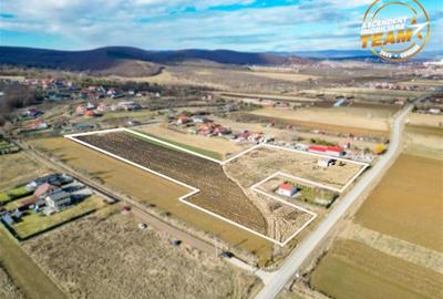 Teren Construcții intravilan de 31605 mp, în Exterior Est - 1