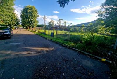 Teren 1,749mp Piatra-Neamt / Strada Zambilelor - 12