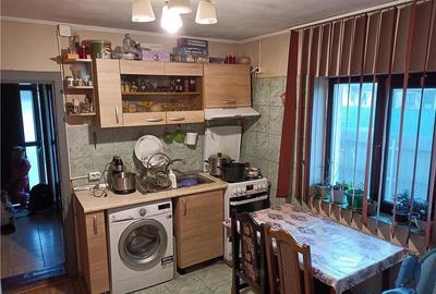 Casă cu 3 camere cu Teren 3000 Mp în Români - 9
