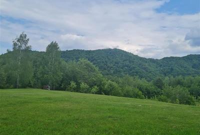 Refugiu idilic cu oglinda de apa,panorama montana,Glajerie/Rasnov,ideal mini res - 30
