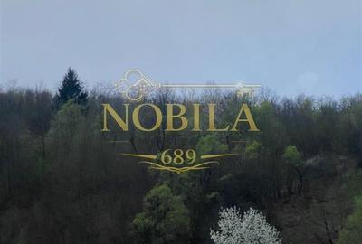 Casă cu 4 camere în Pârvulești - 2