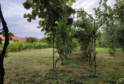 Casa de vanzare in Ineu, jud. Arad - 3