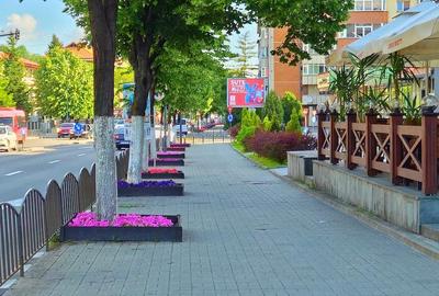 Apartament cu 3 camere decomandat în Lenin Sud - 11