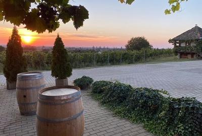 Casă individuală cu 6 camere cu Canalizare în Miniș - 47