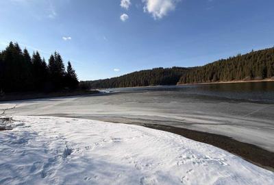 Teren de 10146 mp, în Giurcuța de Sus - 1