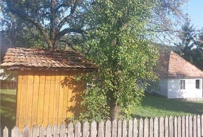 Casa individuala superba 3 camere, pivnita 24mp si teren generos 550mp in Comarn Casa individuala superba 3 camere, pivnita 24mp si teren generos 550mp in Comarn - 17