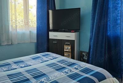 Casă cu 5 camere cu Teren 2763 Mp în Băița - 17