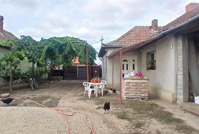RECO Casa cu teren mare in Diosig - 12