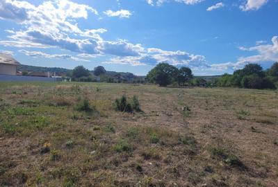 Teren intravilan cu PUZ, situat in Targu-Jiu, Slobozia - 2