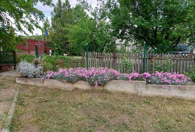 Vand vila an 2017 judet Buzau - 8