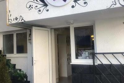 Herastrau Inchiriez Vila cu P+ 1 + terasa - 1