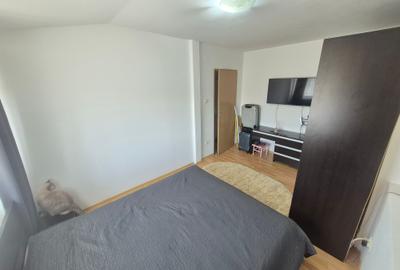 Apartament cu 2 camere decomandat, mobilat în Șagului - 8