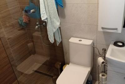 Casa / vila Platou Prundu - Craiovei , mobilata / utilata , finisaje moderne ! - 23