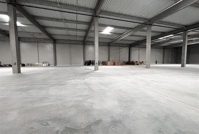 Spațiu comercial, de 7,014 mp, în Biharia - 13