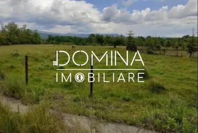 Teren de 5000 mp, în Central - 4