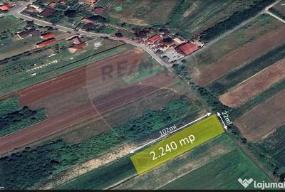 Teren de 2240 mp, în Lăpuș - 1
