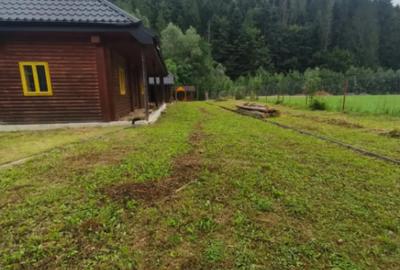 Casă cu 5 camere cu Teren 1250 Mp în Marginea - 14