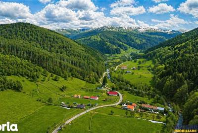 Casă cu 2 camere cu Teren 5425 Mp în Vama Buzăului - 5