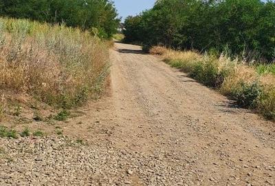 Teren de 2000 mp, în Păcurari - 6