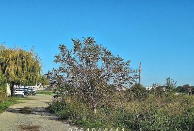 Teren de vanzare in Constanta, Km 5 Veterani - 500 mp - 2